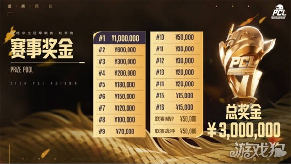 数据显示 数据显示