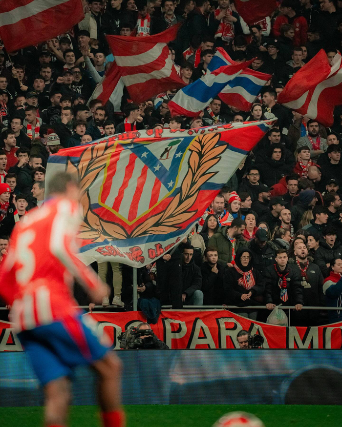 再度迎来新 再度迎来新